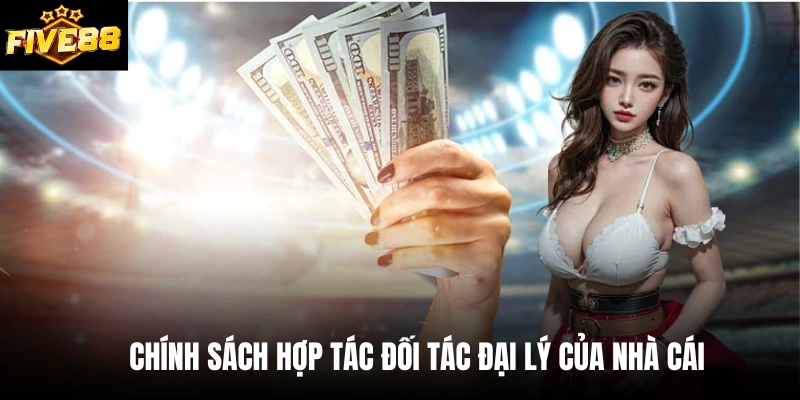 Chính sách hợp tác đối tác đại lý của nhà cái